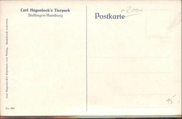 Loewe Carl Hagenbeck Tierpark Stellingen-Hamb – Bild 2