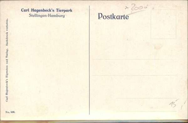 Loewe Carl Hagenbeck Tierpark Stellingen-Hamb – Bild 2