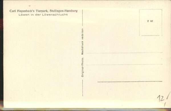 Loewe Carl Hagenbeck Tierpark Stellingen-Hamb – Bild 2