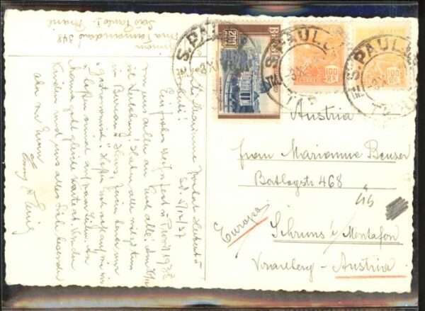 Pferde – Bild 2