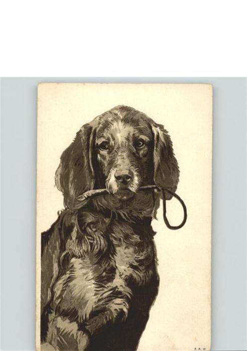 Hunde Prägedruck