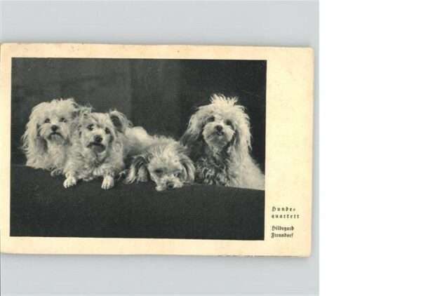 Hunde