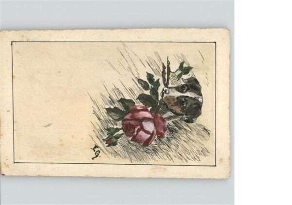 Hunde Rose Künstler E. G.