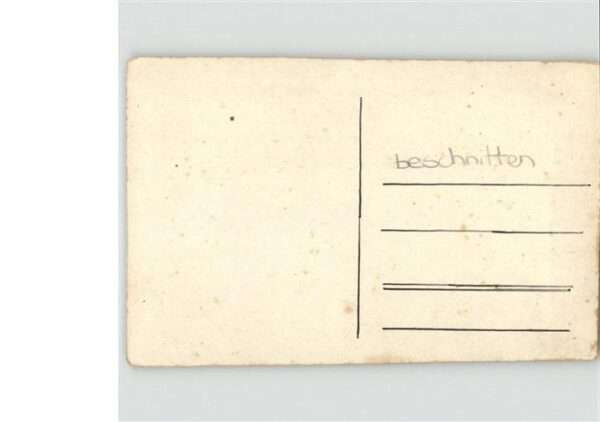 Hunde Rose Künstler E. G. – Bild 2