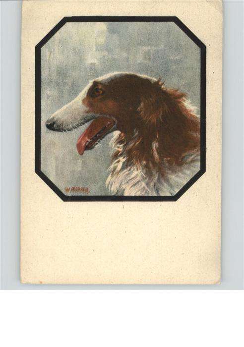 Hunde Künstler W. Merker