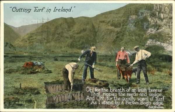 Landwirtschaft Ireland Bauern