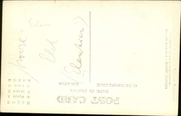 Elch – Bild 2