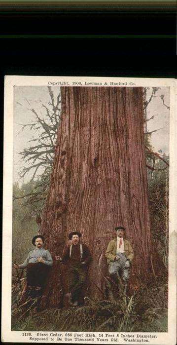 Baeume Trees Washington