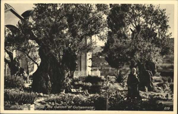 Jerusalem Yerushalayim Garden of Gethsemane