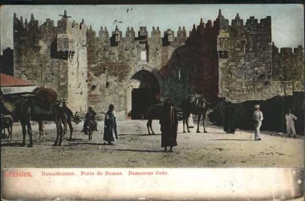 Jerusalem Yerushalayim Damaskustor Kamel
