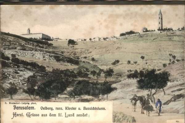 Jerusalem Yerushalayim Oelberg Kloster Aussichtsturm  Esel