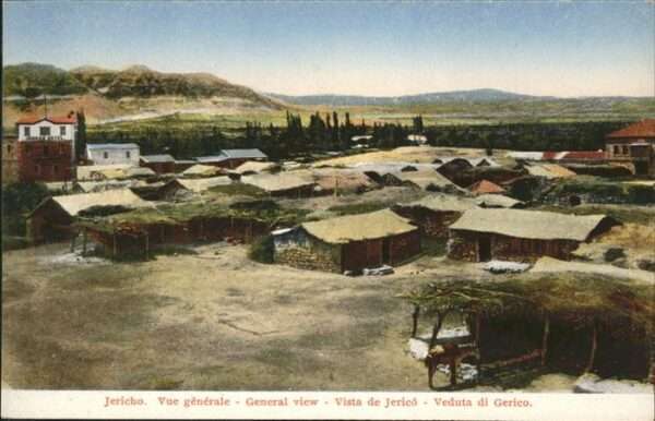 Jericho Israel Pferd