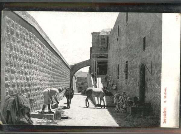 Jerusalem Yerushalayim Esel