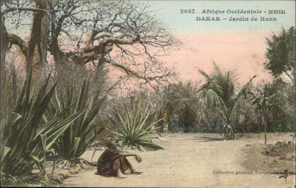 Afrika Afrique Africa Dakar
Jardin de Hunn