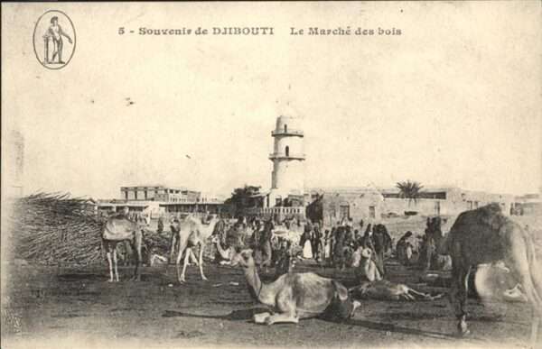 Djibouti Marche des bois