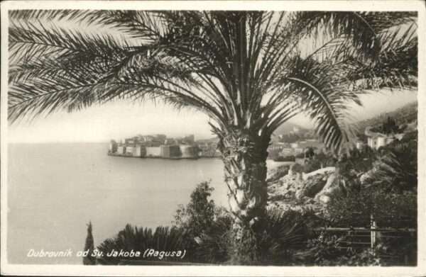 Dubrovnik Ragusa Sv. Jakoba
Ragusa