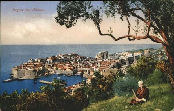 Ragusa Ölbaum