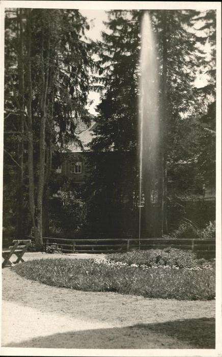 Bad Karlsbrunn Tschechien Springbrunnen