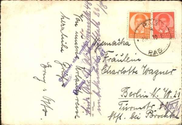 Rab Kroatien Agaven
Teilansicht – Bild 2