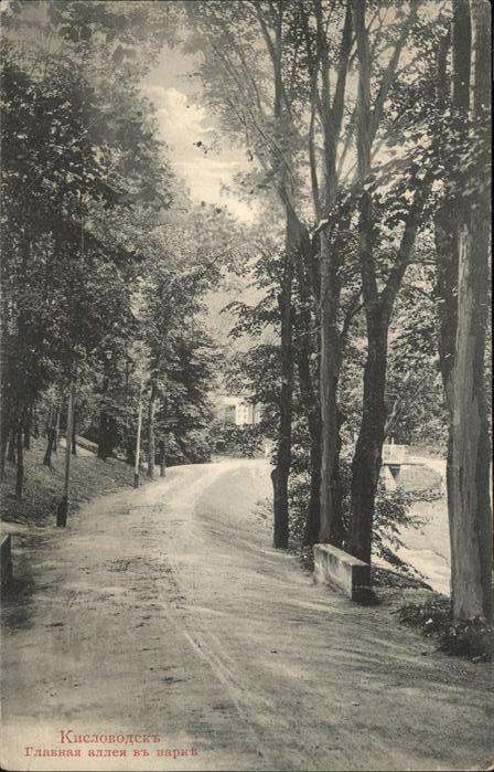 Kaptoyka Wald