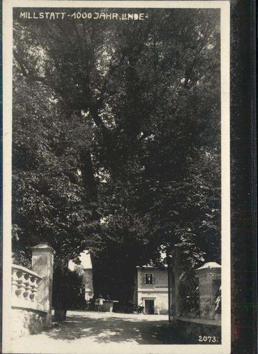 Millstatt Millstaettersee Linde Baum