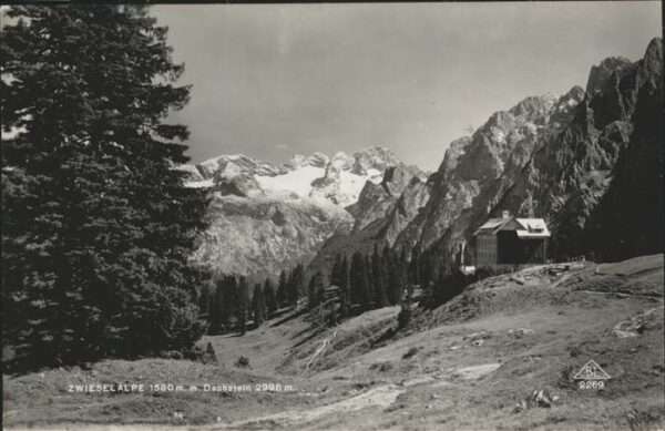 Dachstein Gebirge Zwieselalpe