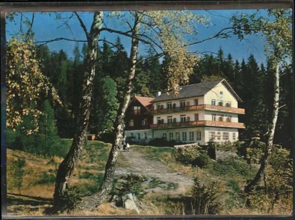 Schaueregg Waldgasthof Pension Tränk-Törl