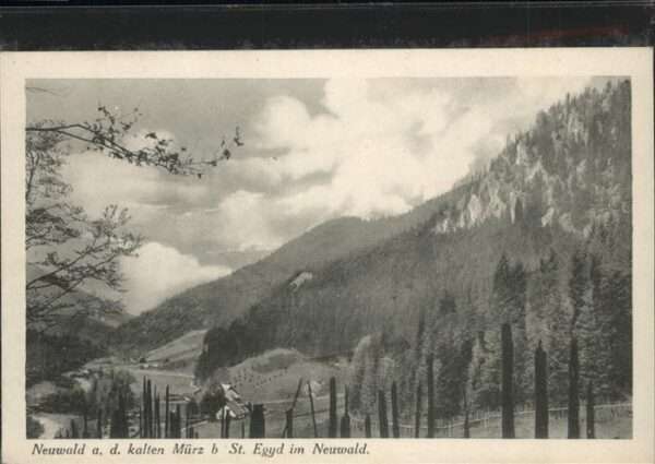Neuwald Muerz