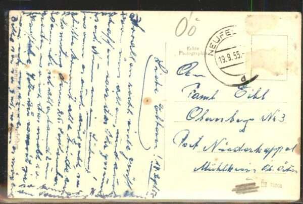 Langhalsen – Bild 2