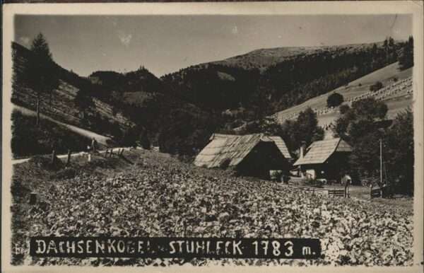 Stuhleck Niederoesterreich Dachsenkogel