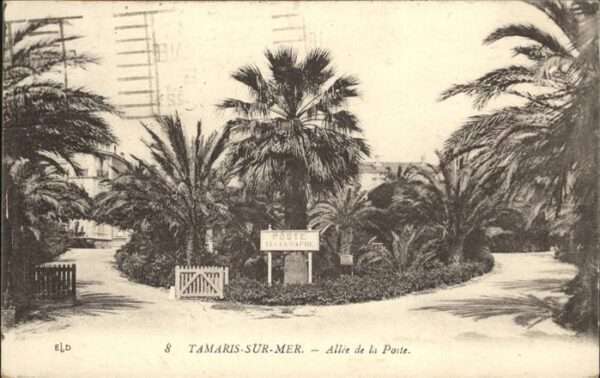 Tamaris Allee de la Poste