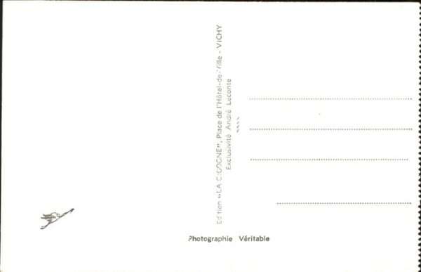Vichy Allier Fliegeraufnahme – Bild 2