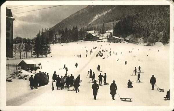 Chamonix Piste de Luges