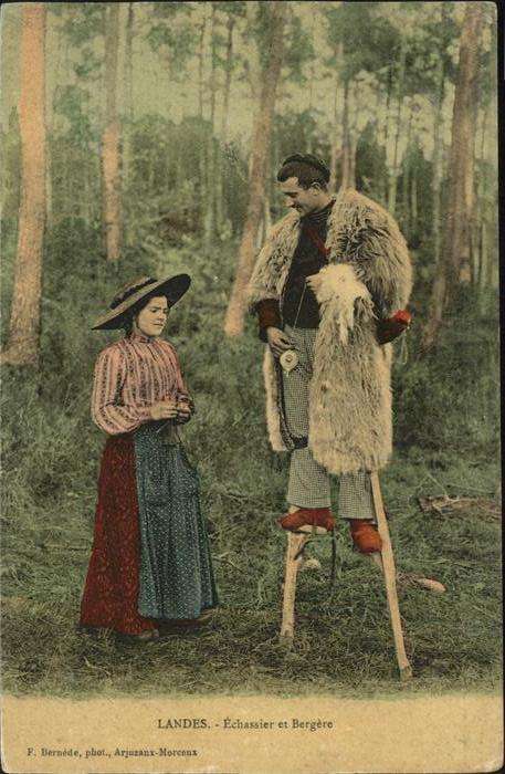 Landes Echassier Bergere