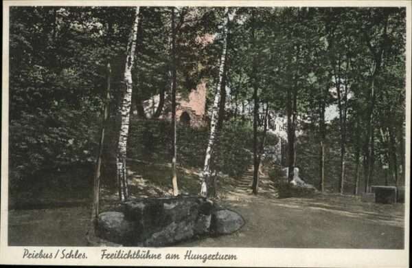 Thingstaette Freilichtbuehne Freilichtbühne
Hungerturm