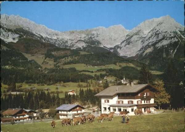Scheffau Wilden Kaiser Gasthof Alpenblick
