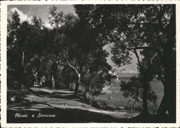 Oliveti Sirmione