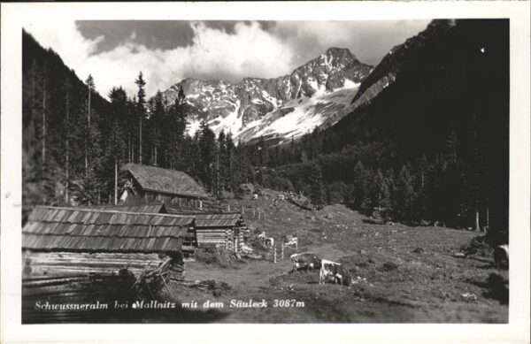 Mallnitz Kaernten Schwussneralm