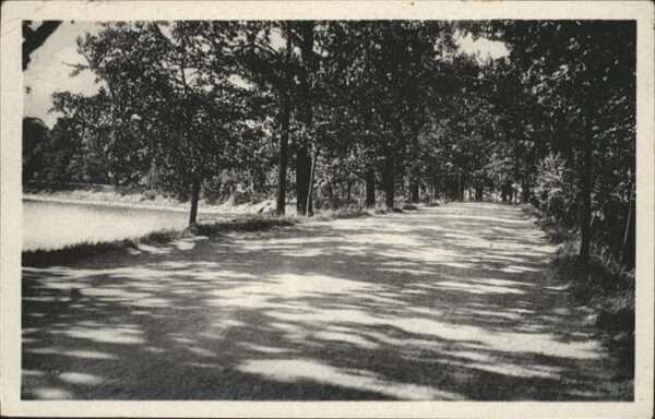 Trebon Czechia Allee