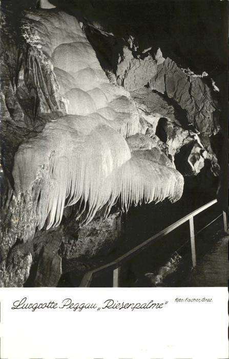 Peggau Lurgrotte
Riesenpalme