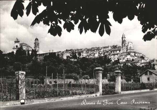 Cervo Riviera dei Fiori