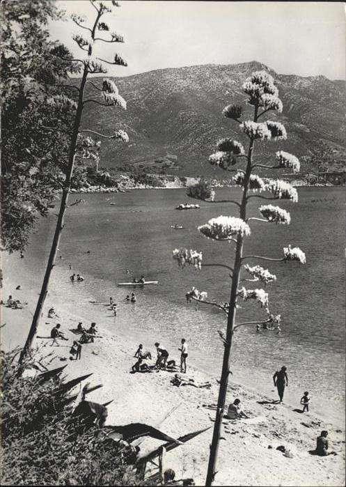 Orebic Insel Peljesac
Dubrovnik Neretva