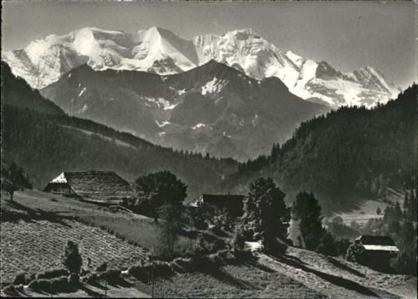 Thun Schwarzenegg