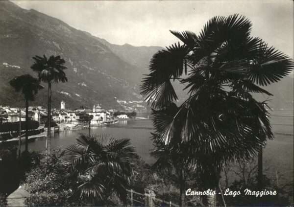 Cannobio Lago Maggiore Panorama