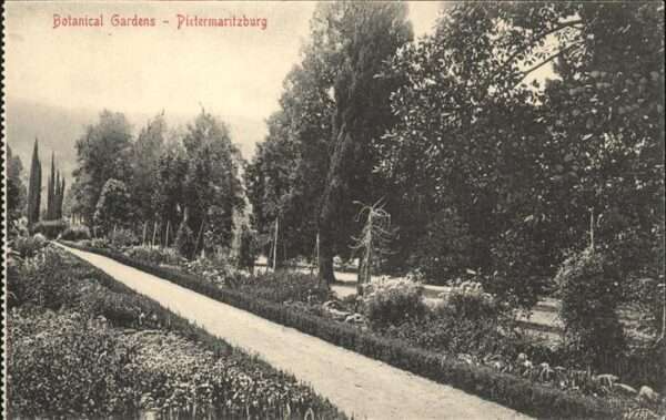 Pietermaritzburg Botanical Gardens