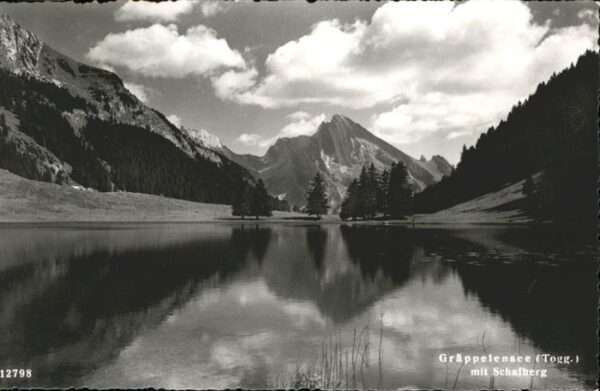 Alt St Johann Schafberg Gräppelensee