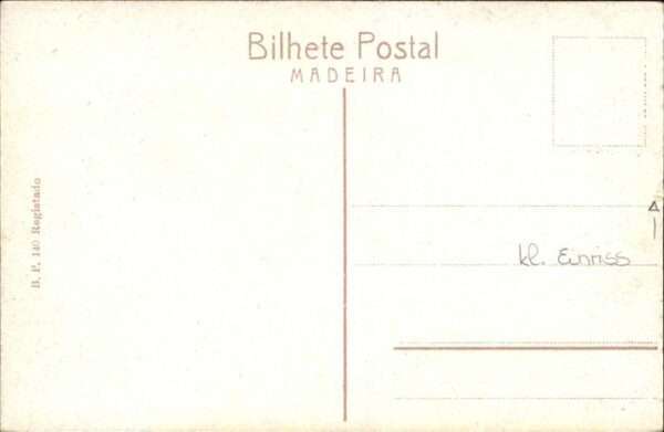 Madeira Portugal Avenida Gonsalves Tarco Kühe – Bild 2