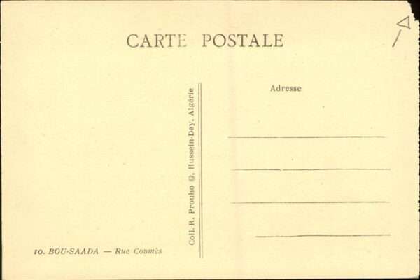 Bou Saada Esel – Bild 2