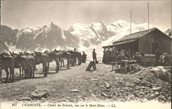 Chamonix Chalet du Brevent Esel