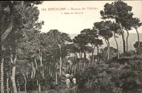 Barcelona Cataluna Bosque del Tibidabo